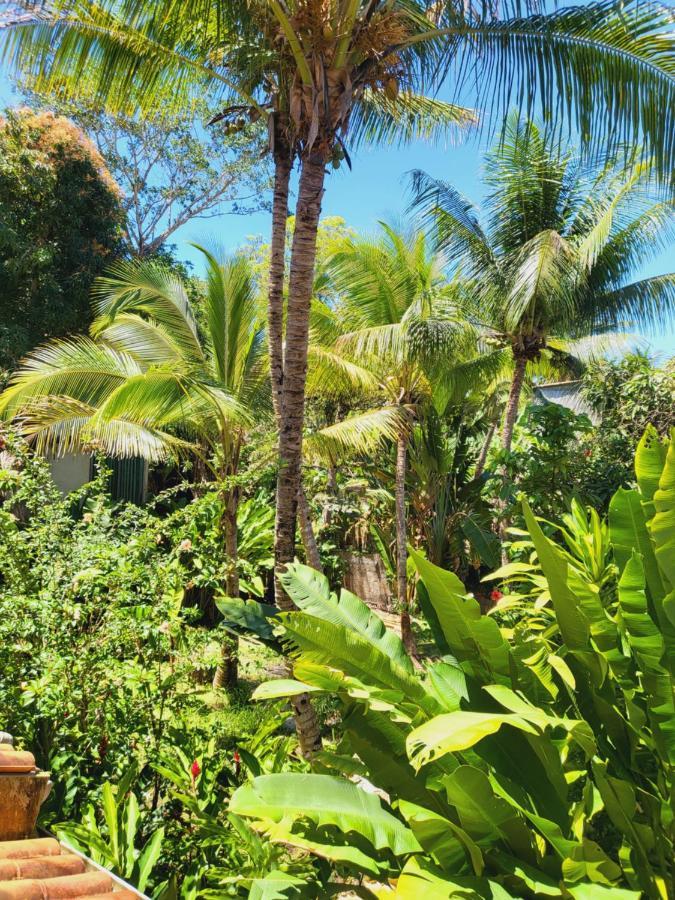 Pousada Velha Boipeba Empresa Acanhtica Boipeba Island Eksteriør bilde